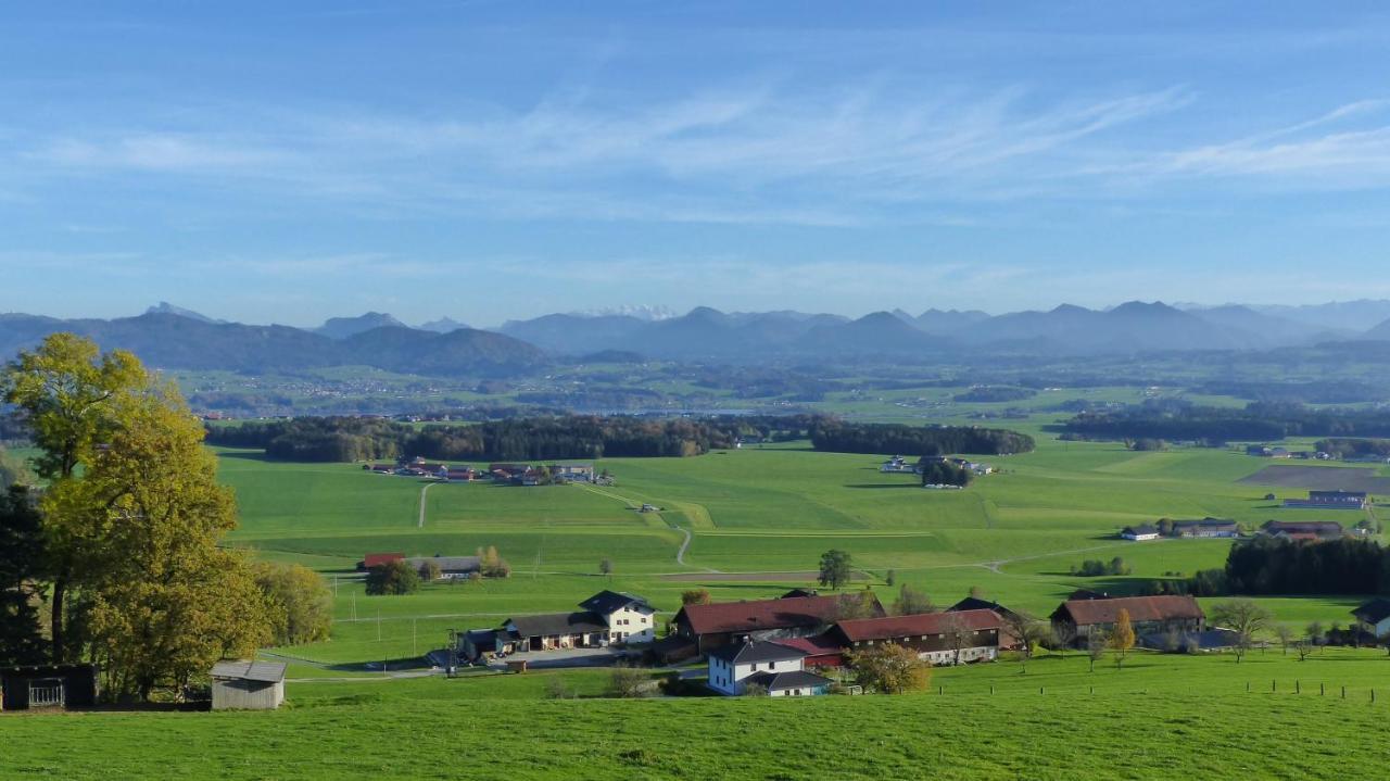 Ferienwohnung Steger Mattsee Zewnętrze zdjęcie