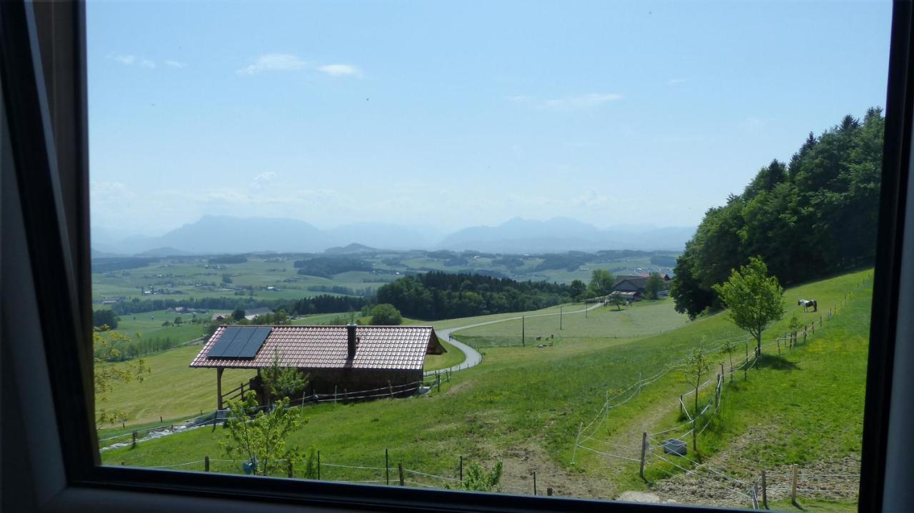 Ferienwohnung Steger Mattsee Zewnętrze zdjęcie