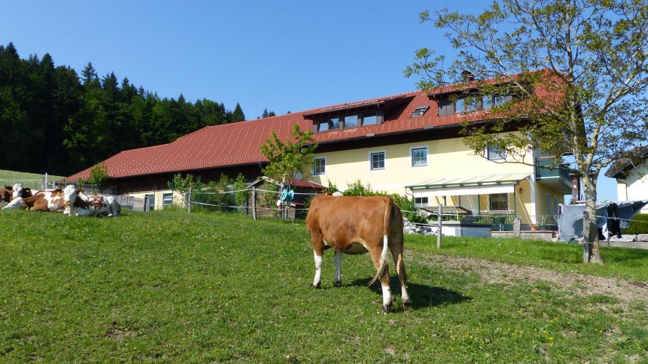 Ferienwohnung Steger Mattsee Zewnętrze zdjęcie